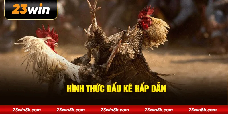 Hình thức đấu kê hấp dẫn